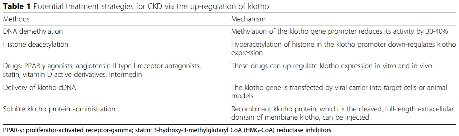 diabetes klotho
