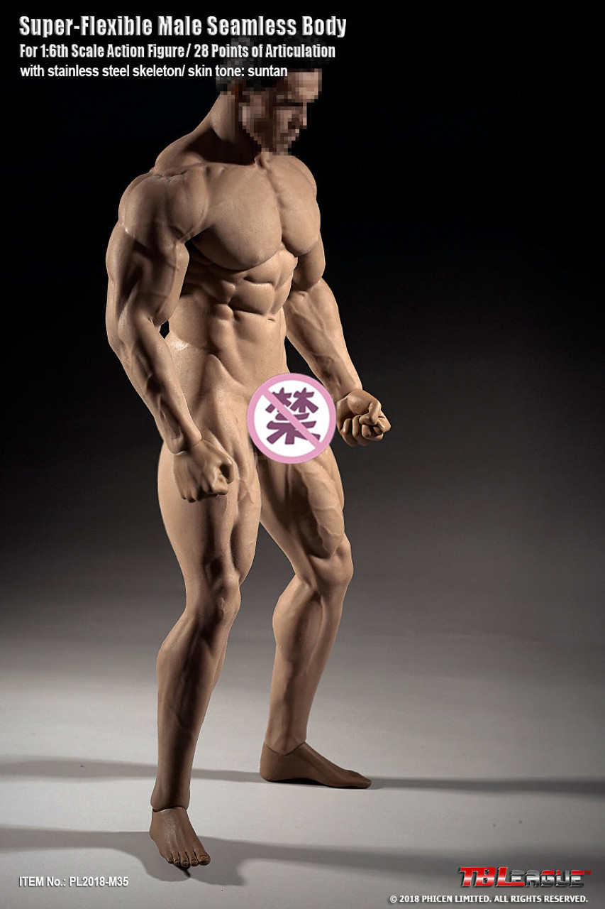 1:6th Male Seamless Skeleton Muscle Body