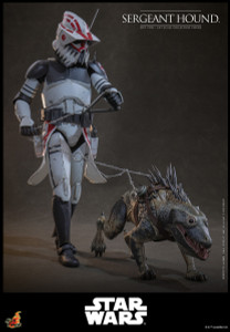 Hot Toys Sergeant Hound TMS167 Star Wars: The Clone Wars 1/6 Figure Hot Toys Sergeant Hound TMS167 Star Wars: The Clone Wars 1/6 Figure