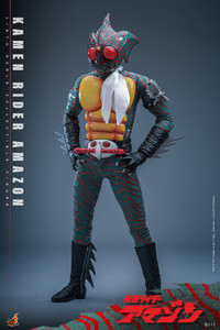 Hot Toys TMS184 Kamen Rider Amazon 1/6 Scale Figure