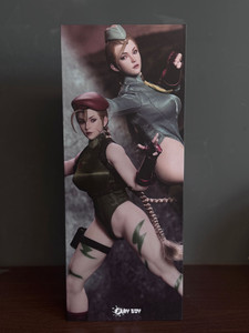 Play Toy P020-A Green Street Female Fighter 1/6 Figure Play Toy P020-A Green Street Female Fighter 1/6 Figure
