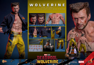 HOT TOYS Wolverine with the 1/6th scale Wolverine (TVA Jacket) Collectible Figure MMS756