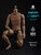 WorldBox AT020 Pro 1/6 Muscle Male Action Figure Body WorldBox AT020 Pro 1/6 Muscle Male Action Figure Body