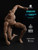 WorldBox AT020 Pro 1/6 Muscle Male Action Figure Body WorldBox AT020 Pro 1/6 Muscle Male Action Figure Body