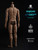 WorldBox AT020 Pro 1/6 Muscle Male Action Figure Body WorldBox AT020 Pro 1/6 Muscle Male Action Figure Body