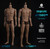 WorldBox AT020 Pro 1/6 Muscle Male Action Figure Body WorldBox AT020 Pro 1/6 Muscle Male Action Figure Body