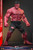 Hot Toys MMS797 Red Hulk Captain America: Brave New World 1/6 Figure Hot Toys MMS797 Red Hulk Captain America: Brave New World 1/6 Figure
