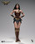 INART A023 Dawn of Justice Wonder Woman 1/6 Scale Figure INART A023 Dawn of Justice Wonder Woman 1/6 Scale Figure