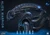 Hot Toys MMS898 Alien Warrior Xenomorph 1/6 Scale Figure