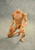 B001 1/6  Narrow Shoulder Male Action Figure Body B001 1/6  Narrow Shoulder Male Action Figure Body