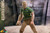 SL Custom SL007 Sand Fighter 1/6 Action Figure