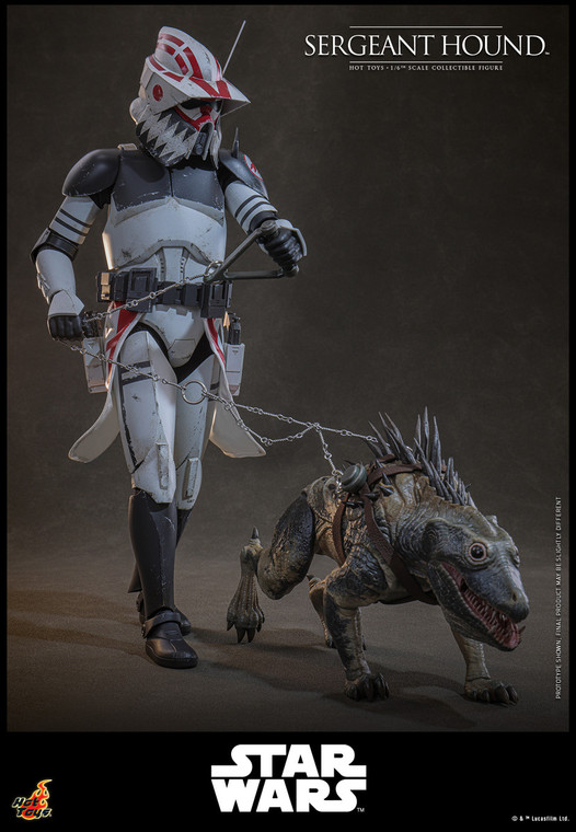 Hot Toys Sergeant Hound TMS167 Star Wars: The Clone Wars 1/6 Figure