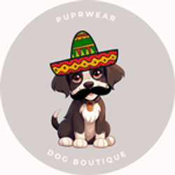 Cinco de Mayo Accessories Cinco de Mayo Accessories
