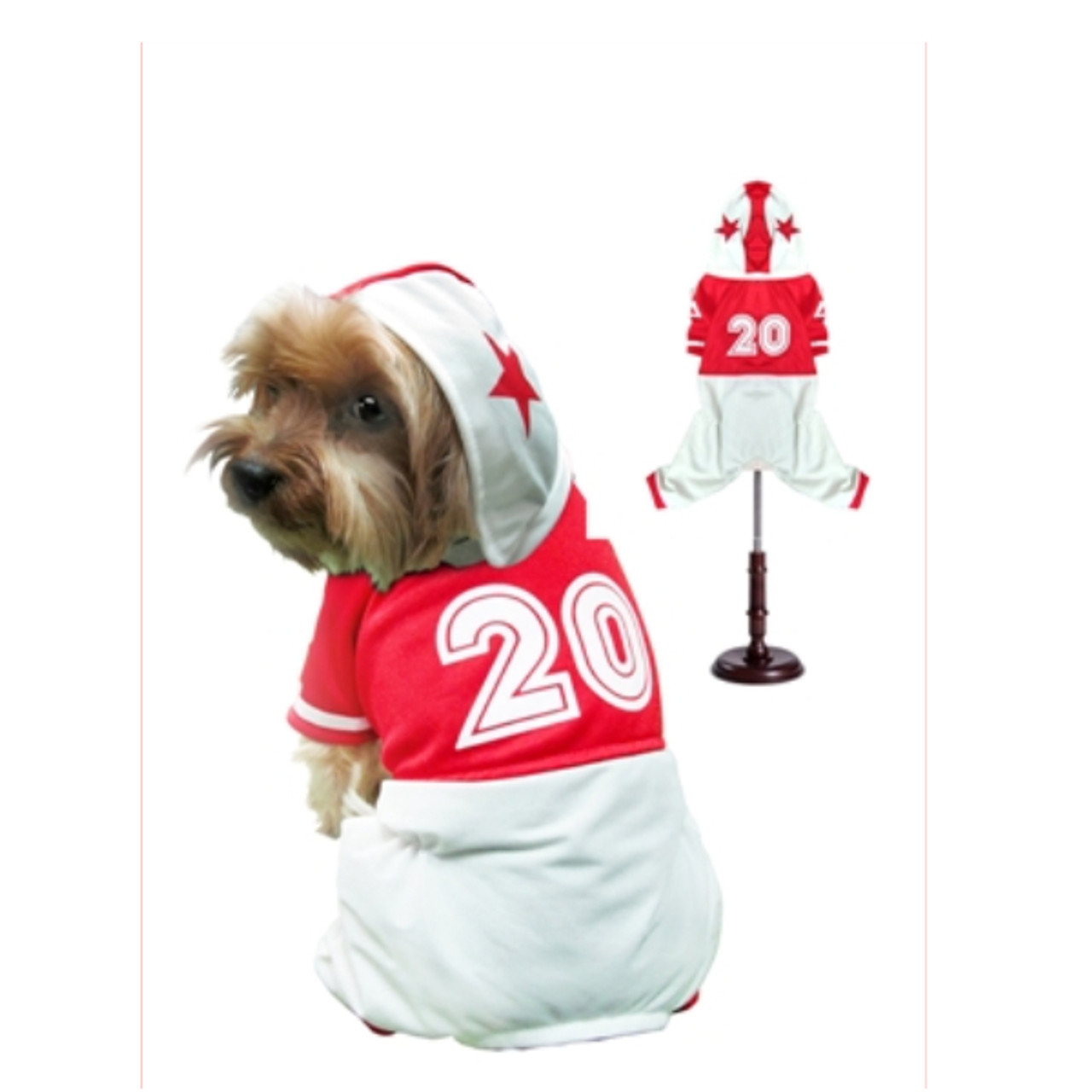 dog football helmet costume