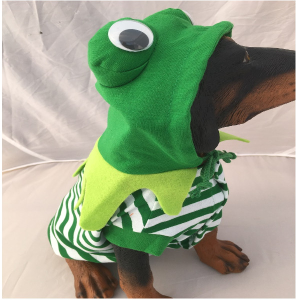 dog frog costume