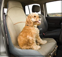 bucket seat protector dog