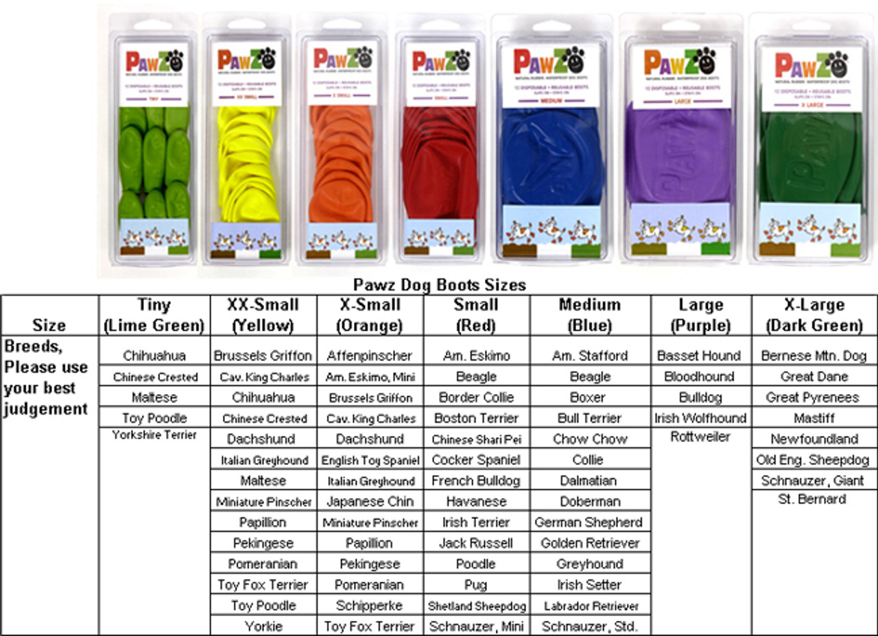 Pawz Shirts Size Chart