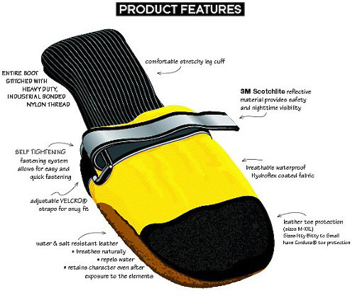 fluval flex aquarium