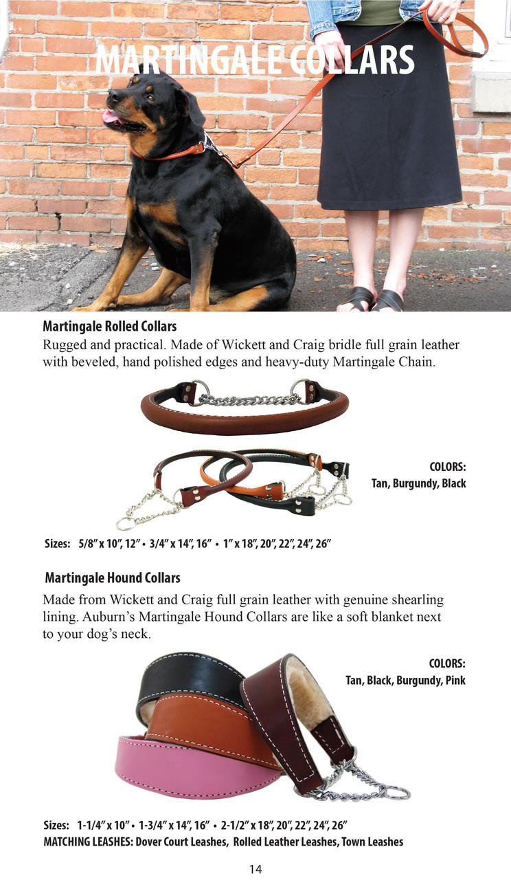 leather greyhound collars and leads