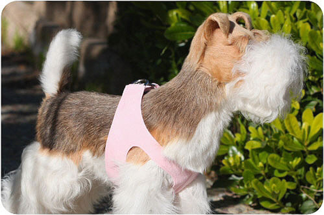 3 peaks step in dog harness