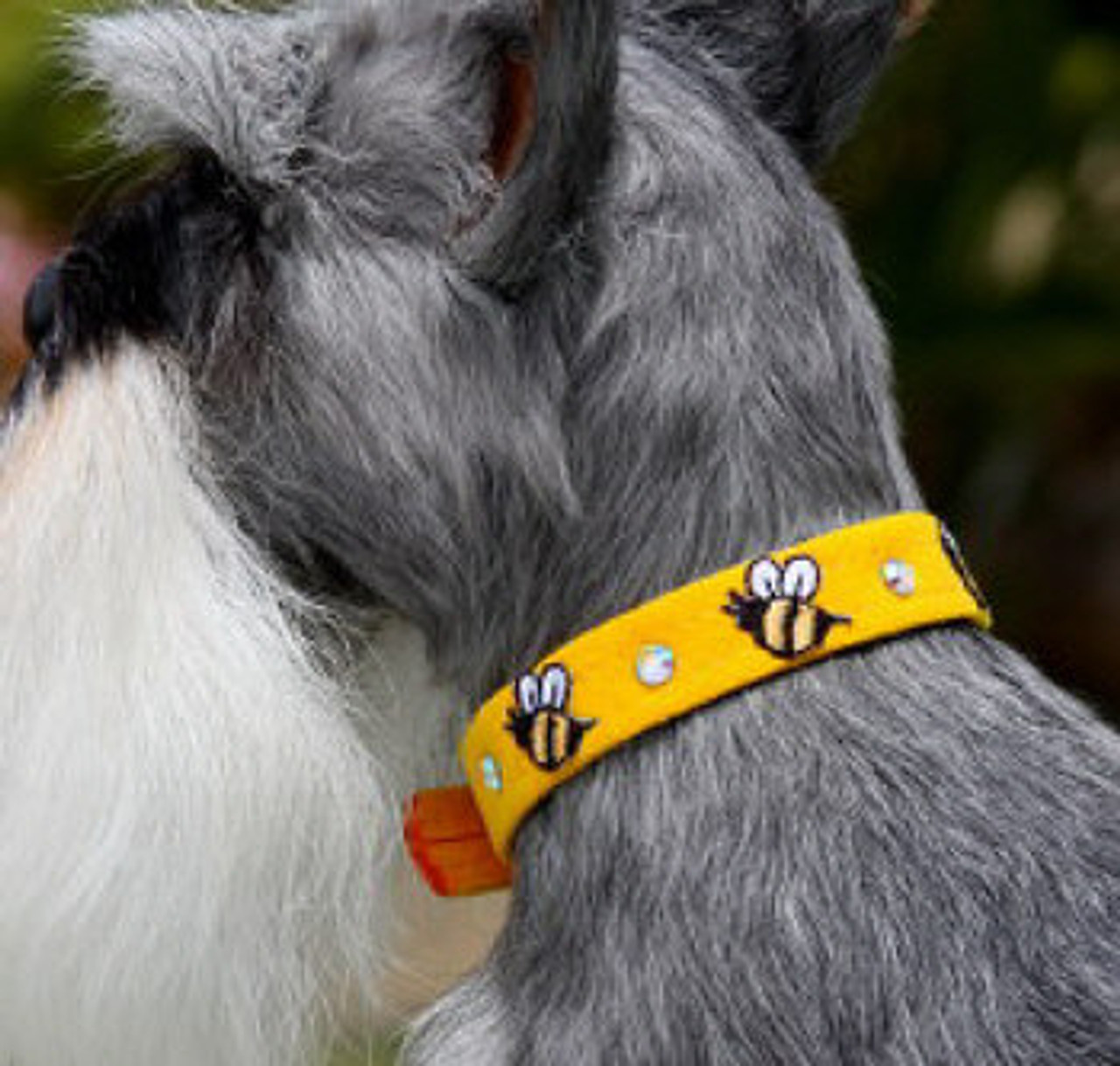 susan lanci dog collars