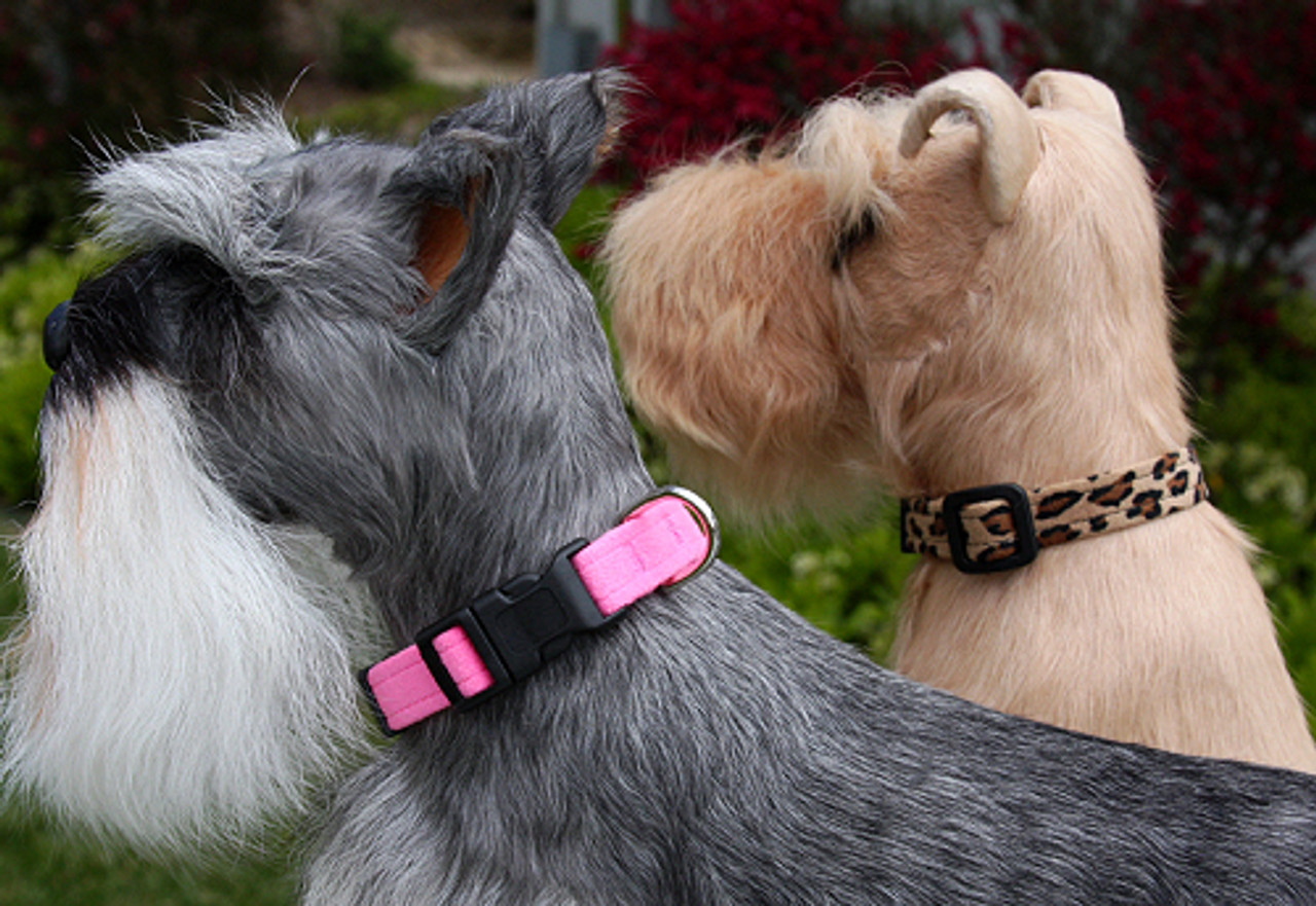 Chicago Cubs Logo Dog Collar Charm