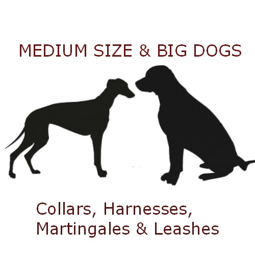 dog collar medium size