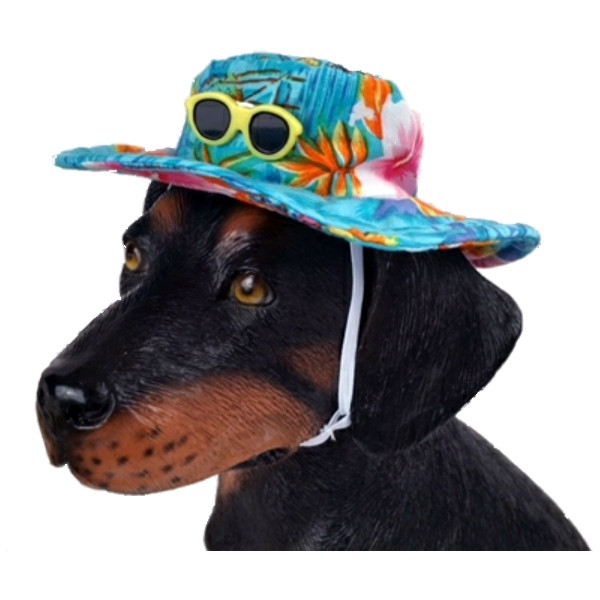 dog hats