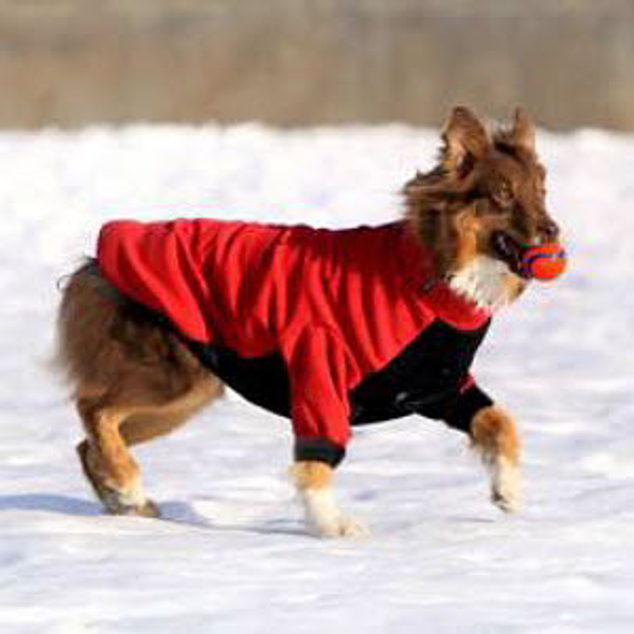 Dog Snow Jacket Red Black 5 110 Lbs Caniswear