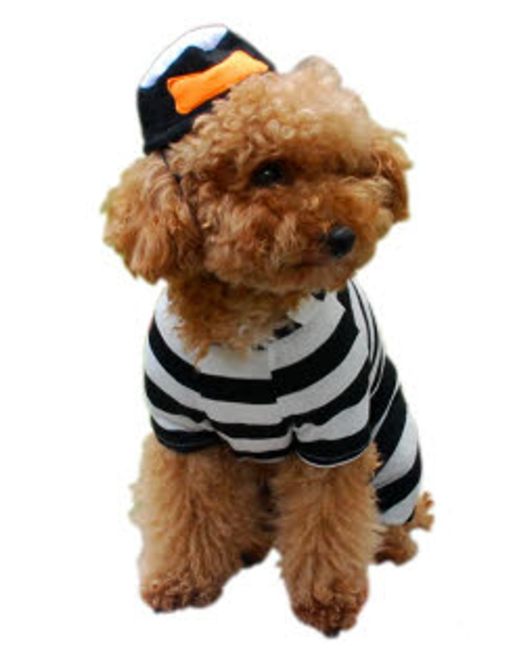 Jail Bird Dog Costume