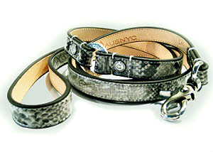 snakeskin dog collar
