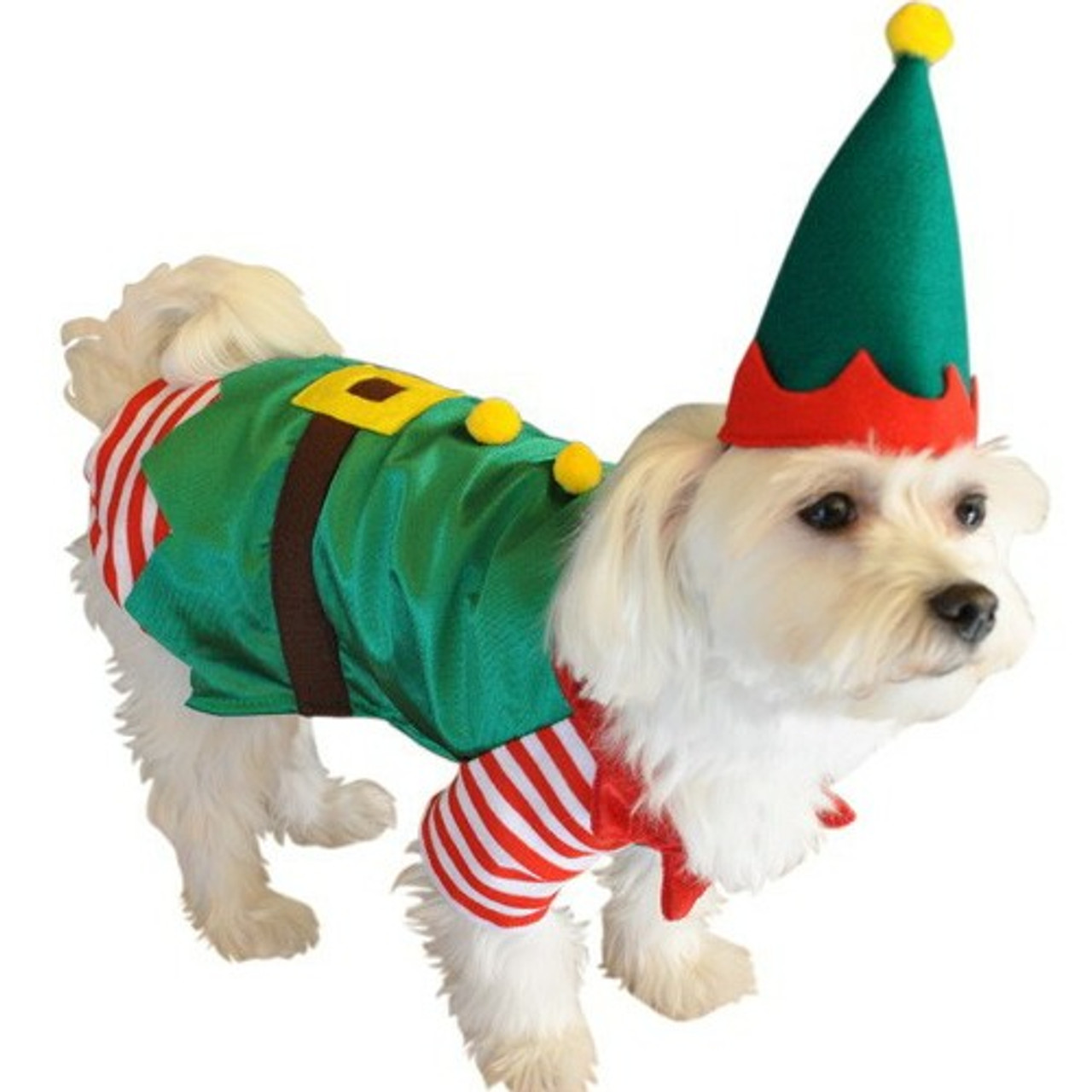 small dog elf costume