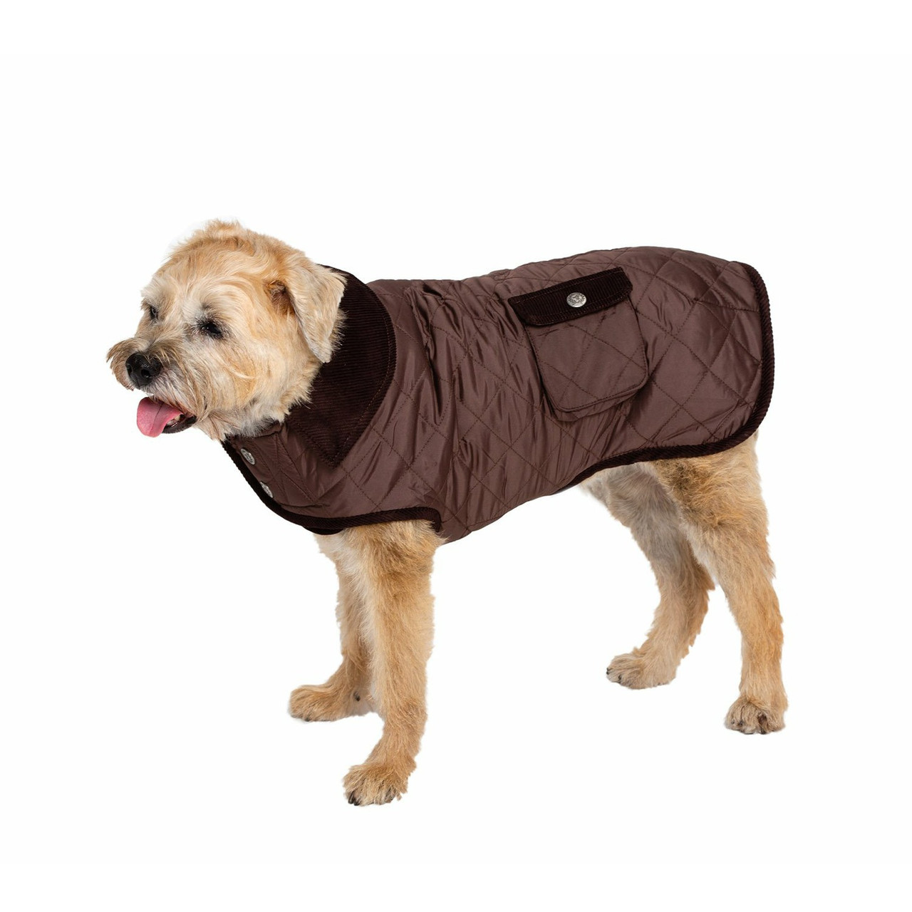 Louis Pup Faux Fur Dog Coat, Paws Circle