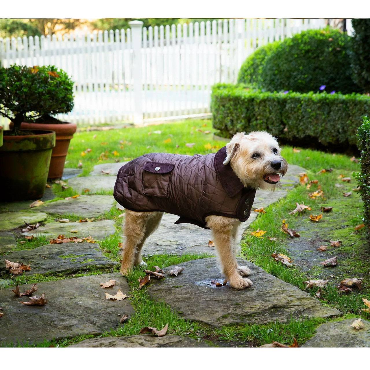 Barn Dog Coat, Quilted, Light weight & Water Resistant