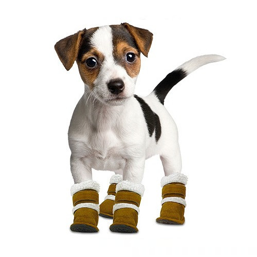 Pugz Shoes For Dogs PupRwear Dog Boutique