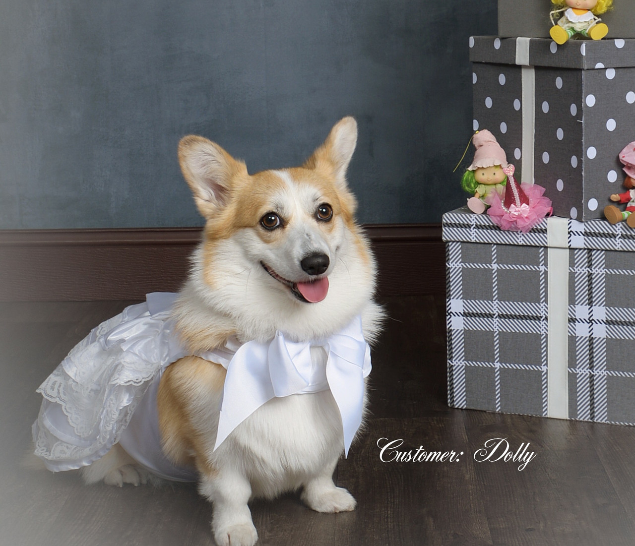 Dog Wedding Dress Set w/ Veil and Leash