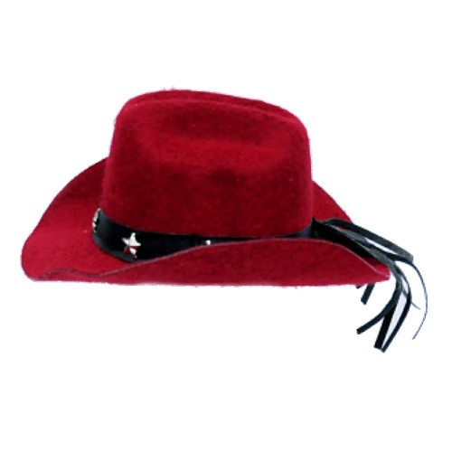 Dog Cowboy Hats for small pets 