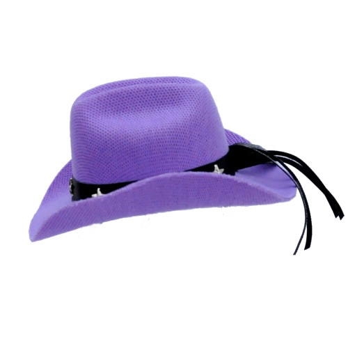 Dog Cowboy Hats for small pets 