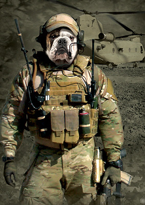 jtac k9 collar