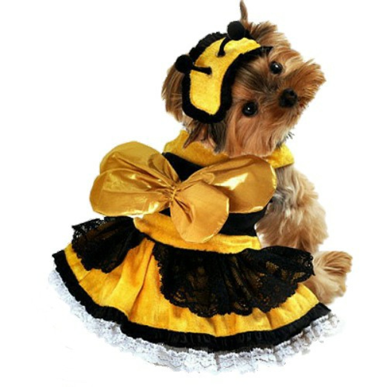 40 Black & Yellow Striped Bumblebee Girl Child Halloween Costume