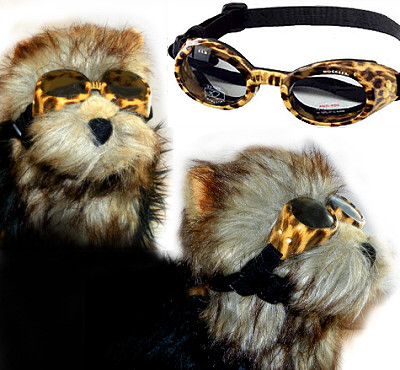 Doggles Leopard Leopard Print Frame ILS Dog Sunglasses | Doggles at PupRwear