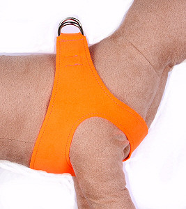 orange dog harness