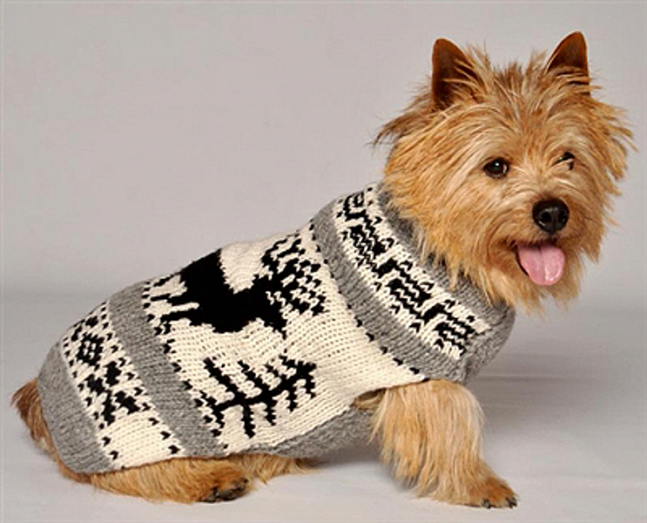 best dog sweaters