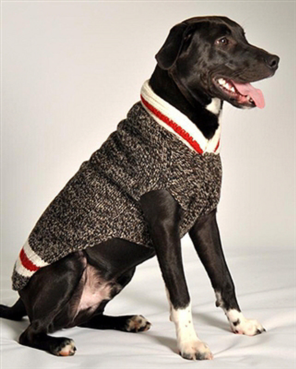 big dog coats and sweaters