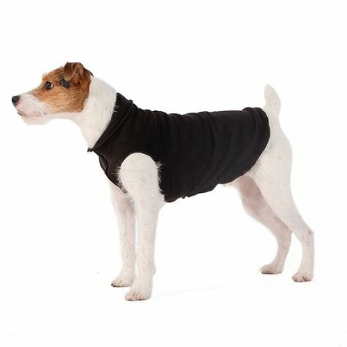 gold paw dog fleece