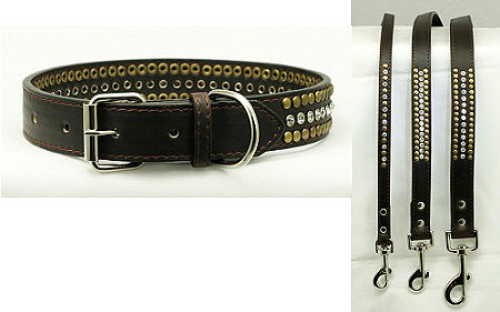 hip dog collars