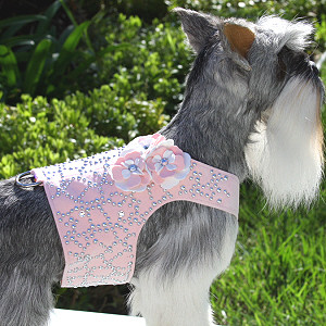 susan lanci dog harness