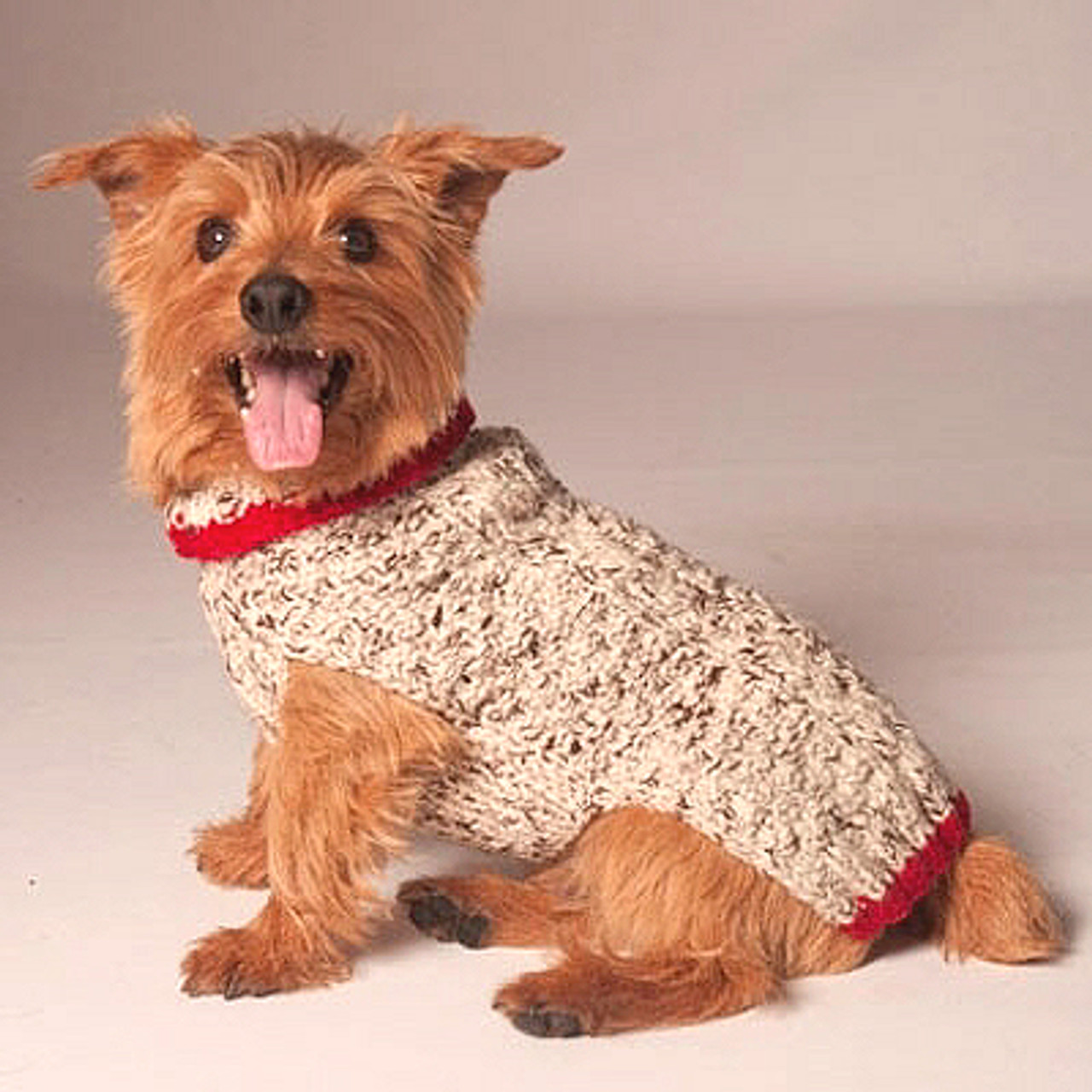 Chilly dog hot sale cable dog sweater