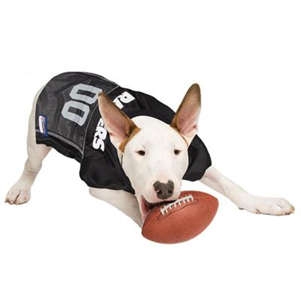 NFL Raider Nation Raglan Knit Pet Shirt, Medium :