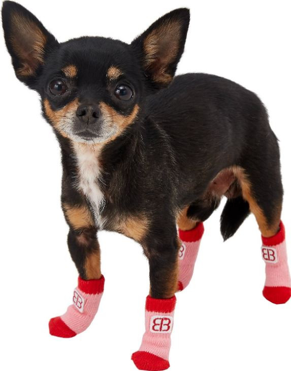 foufou dog socks